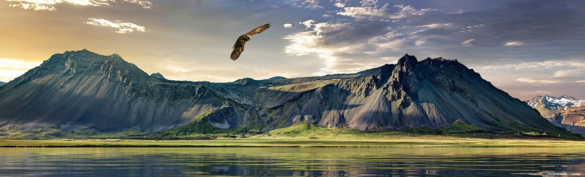 Yeni Zelanda